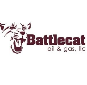 Battlecat logo for Website