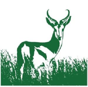 Springbok Logo Website